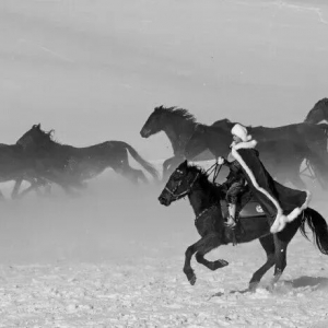 新疆：拟追授贺娇龙记大功奖励