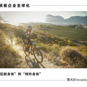 苔源 MossCode：千万级天使轮，估值 1 亿美金出海｜Shine Brand ...